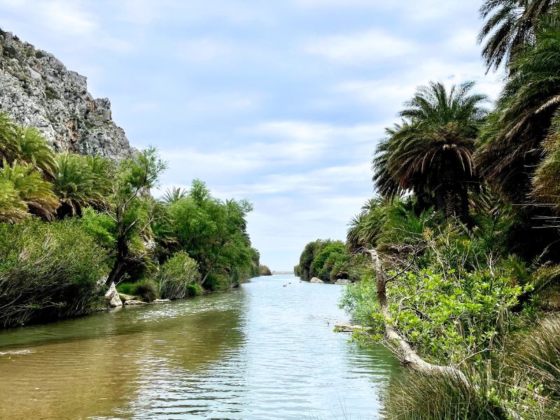 Řeka Megalopotamos a palmový háj na Preveli pláži na jižní Krétě